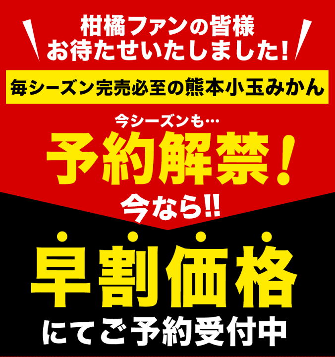 【みかん様】おまとめ買い みかん ひぜんユース 風のいたずら ちょっと訳あり 大きさ