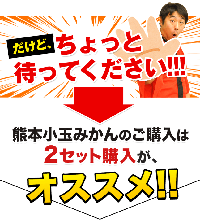 楽天市場】【2セット以上購入でおまけ増量＆日本最速級9月出荷