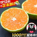 【1000円OFFクーポン配布中＆エントリー・買い回りでポイント最大12倍】 小玉 みかん 送料無料 訳あり ミカン 小粒 果…
