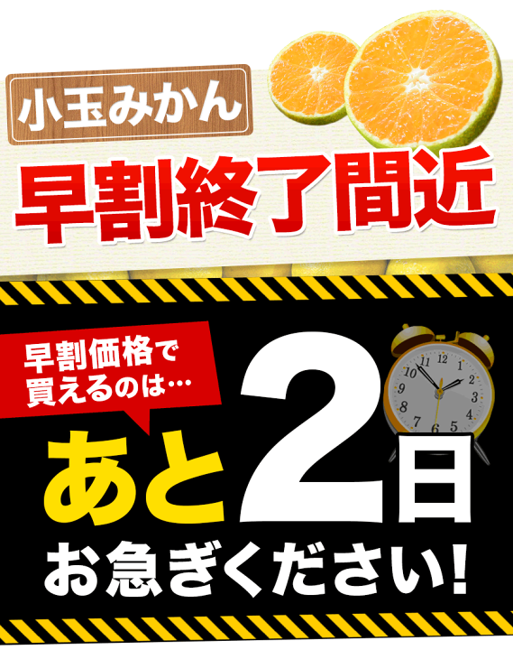こだまみかんです 楽天市場】＼8/25限定☆店内全品P5倍／【早割終了まで残り2日