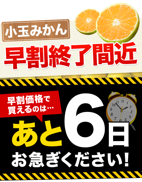 【みかん様】おまとめ買い みかん 温州みかん 産地厳選 風のいたずら ちょっと訳あり 大き