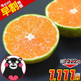 【予約解禁★1222円⇒早割1111円】小玉 みかん 送料無料 訳あり ミカン 小粒 1.5kg 【5kg以下(5キロ・5k) 家庭用 サイズ 箱買い 】 果物 小粒 熊本 極早生 柑橘 九州 訳アリ だけど 小玉 で 甘い 蜜柑 《9月中旬-9月末頃より発送予定》|