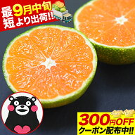【先着限定★クーポンで300円OFF配布！】小玉 みかん 送料無料 訳あり ミカン 小粒 1.5kg【5kg以下(5キロ…