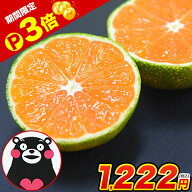 【期間限定★ポイント3倍！】小玉 みかん 送料無料 訳あり ミカン 小粒 1.5kg【5kg以下(5キロ・5k) 家庭…