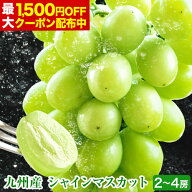 【最大1,500円OFF★送料無料 ★】 シャインマスカット 1kg-1.2kg前後 フルーツギフト 贈答用 プレゼント …