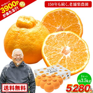 �y�G���g���[��3900P������I�H�z�����_�� �s�m�� 3.5kg�O�� �������� �F�{���Y �F�{ ������ 3�L�� �ȏ� �T�C�Y �ʕ� �X�C�[�c �t���[�c �f�U�[�g ������ ���N�� �M�t�g �f�R�|�� �� ���i�� 