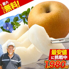 【最大1セット分無料！】 梨 なし 福岡農園 ナシ 秋月 あきづき 吉野梨 1.5kg前後 (3〜5玉) 送料無料 熊本県産 熊本 ギフト 旬 果物 旬 フルーツ お取り寄せ 敬老の日《9月上旬-9月下旬頃より配送予定》|
