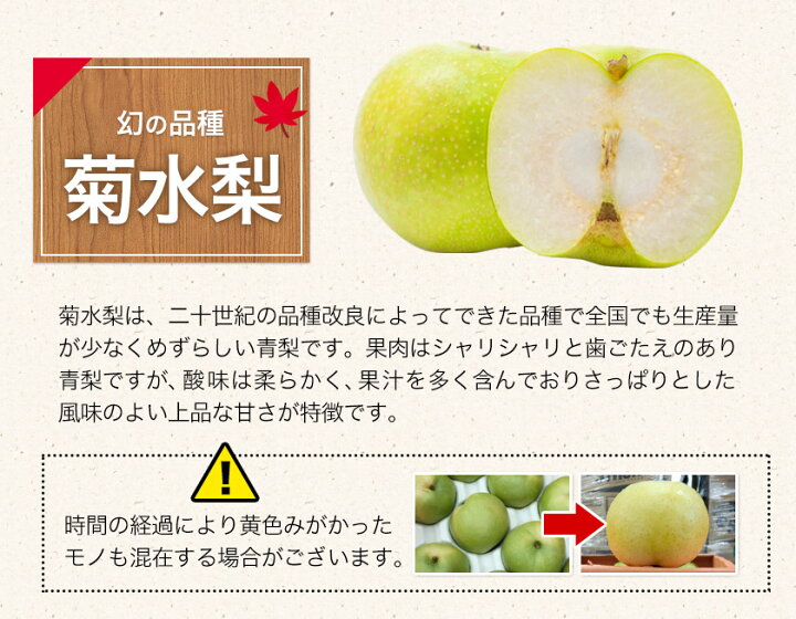 2100円 セール 登場から人気沸騰 梨 なし 幸水 豊水 先行 果物 くだもの フルーツ ナシ 先行予約 くまもと梨 送料無料 あきづき 甘太 新高梨 新興梨 約3.5kg 5玉〜15玉前後 熊本県産《10月中旬‐11月中旬頃より順次発送》旬 お取り寄せ 2100円 セール 登場から人気沸騰 梨 なし 幸水 豊水 先行 果物 くだもの フルーツ ナシ 先行予約 くまもと梨 送料無料 あきづき 甘太 新高梨 新興梨 約3.5kg 5玉〜15玉前後 熊本県産《10月中旬‐11月中旬頃より順次発送》旬 お取り寄せ