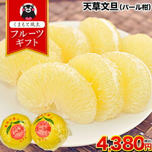 F{Y VU (p[) 4L-3L/5-6ʓ 3kgO  ӊ k ̈Yn F{ Y  ӔM ΂؂ p ʕ t[c ?Mtg N N  l ̂ 