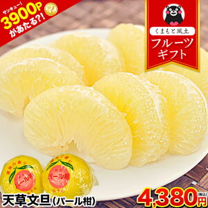 yGg[3900PIHzF{Y VU (p[) 4L-3L/5-6ʓ 3kgO  ӊ k ̈Yn F{ Y  ӔM ΂؂ p ʕ t[c ?Mtg N 