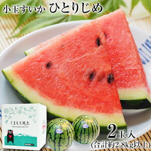 小玉すいか スイカの人気商品 通販 価格比較 価格 Com 小玉すいか スイカの人気商品 通販 価格比較 価格 Com