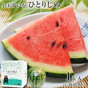 スイカ プレゼントの人気商品 通販 価格比較 価格 Com スイカ プレゼントの人気商品 通販 価格比較 価格 Com