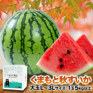 �y�G���g���[��P13�{�z��� �H������ 5kg�ȏ� �F�{���Y �������� �X�C�J �󂠂� �W�����{�X�C�J �F�{ �{ �� �ʕ� �� �L�����v �ƒ�p ���Ɨp �t���[�c �ʕ� �Â� �F�{ �s10�����{-11����{�ɏo��