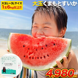 大玉 すいか 6kg以上 熊本県産 送料無料 スイカ お中元 訳あり ジャンボスイカ 熊本 旬 の 果物 夏 キャンプ 家庭用 自家用 フルーツ 果物 甘い 《6月中旬-7月上旬より出荷予定》