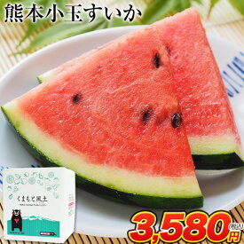 スイカ 熊本 送料無料 訳あり 小玉スイカ 熊本県産 1玉 2Lサイズ 1.4kg以上 果物 フルーツ 旬 食品 すいか 生産量 日本一 楽天 スーパーSALE 《配送予定に記載の日程でお届け》