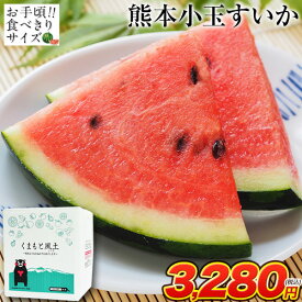 小玉スイカ 熊本 1玉 2Lサイズ 1.4kg以上 送料無料 訳あり 小玉 スイカ 熊本県産 果物 フルーツ 旬 食品 すいか 生産量 日本一 楽天 スーパーSALE 《6月下旬-7月上旬より出荷予定》