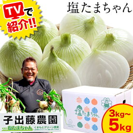 熊本県産 塩たまちゃん 小玉玉ねぎ 選べる お届けサイズ 子出藤さん栽培 送料無料 お取り寄せグルメ 新たまねぎ 塩玉ねぎ お取り寄せ 塩玉 塩玉ちゃん 玉ねぎ 《配送予定に記載の日程でお届け》