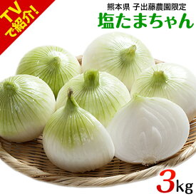 楽天市場 鉄腕ダッシュ まとめの通販