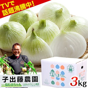 新 玉ねぎ お取り寄せの人気商品 通販 価格比較 価格 Com 新 玉ねぎ お取り寄せの人気商品 通販 価格比較 価格 Com
