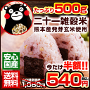 ＼新生活応援★半額540円★／くまモン袋の国産二十一雑穀米たっぷり500g！【総合ランキング1位獲得】熊本県産発芽玄米…