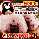 \グルメ大賞2018受賞/国産二十一雑穀米 雑穀 雑穀米 500g 送料無料 くまモン袋 話題の もち麦 熊本県産発芽玄米 アマランサス 配合 二十一雑穀米 《...