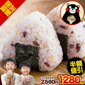 【楽天スーパーSALE期間限定★半額SALE】 雑穀 雑穀米 国産 送料無料 【大容量900gセット】 国産二十五雑穀米 900g (450g×2袋) 送料無料 くまモン袋 もち麦 熊本県産発芽玄米 アマランサス お取り寄せ お取り寄せグルメ 《3-7営業日以内に出荷予定(土日祝除く)》