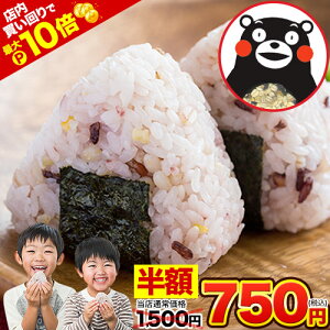 yXPő10{zyȂ甼z1500~750~z G 邾  ܃ ܂ 25G Y\܎G Y F{Y  ۑH  ~ 