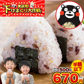 【P10倍の大チャンス★今なら半額以下1,500円⇒670円】雑穀米 混ぜるだけ 送料無料 くまモン おまけ 25種雑穀 国産二十五雑穀米 無添加 熊本県産 もち麦 保存食 買い回り 備蓄米 ランキング 買い回り ≪1-5営業日以内出荷(土日祝除)≫|