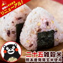 雑穀米 混ぜるだけ 送料無料 くまモン 買い回り 25雑穀米 国産二十五雑穀米 雑穀 無添加 熊本県産 もち麦 玄米 発芽玄…