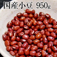 小豆★1袋から送料無料★たっぷり950g入り★ 速攻出荷 令和5年産の小豆(あずき)安心の国産(北海道産)熊本…