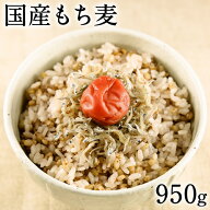 もち麦 国産【送料無料】TVで話題の大麦(もち麦)950g入り★注目成分である「水溶性食物繊維（β-グルカン…