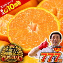 【14日20時よりエントリーでP10倍★店長シマダ優勝記念クーポンで111円OFF！】みかん 訳あり 1.2kg 送料無料 甘熟みか…