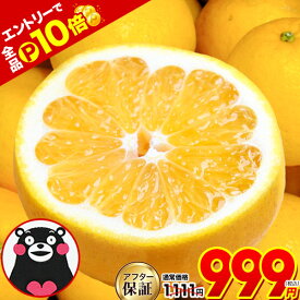 【今ならエントリーでP10倍★999円】河内晩柑 1.5kg 送料無料 和製 グレープフルーツ 果物 みかん 最大約 10kg 訳あり 夏文旦 晩柑 ジューシーみかん 熊本県産 お買い物マラソン 楽天スーパーSALE 熊本 《8月上旬-8月下旬頃より発送予定》熊本