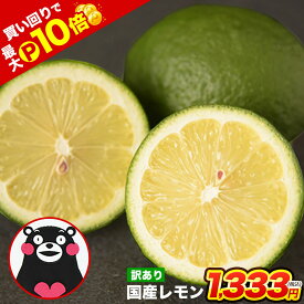 【19日20時より★店内買い回りでP10倍】熊本産 レモン 訳あり 1.5kg 送料無料 【2箱で1箱おまけ】防腐剤不使用 防カビ剤不使用 ノーワックス 国産 remon れもん リスボンレモン 皮ごと サイズ不選別 フルーツ 檸檬 レモン水 《9月中旬-9月末に出荷予定（土日祝除く)》|熊本