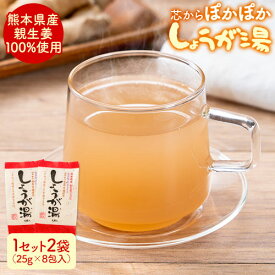 ★生姜湯1位獲得★ 生姜湯 熊本県産 親生姜 使用 国産 粉末 しょうが湯 送料無料 【2セット購入で1袋オマケ】生姜パウダー ジンジャーティー 生姜 温活 ジンジャー しょうが 生姜 【1-5営業日以内発送予定】