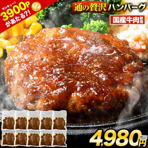 �y�G���g���[��3900P������I�H�z���Y �n���o�[�O 10��×150g �ʂ��ґ�n���o�[�O �{���s�g�p 3��ނ̃\�[�X �f�~�O���X �a���W���|�l �e�����L �������� �� �� ������ �y�� �Ⓚ �y�V�X�[�p�[SA