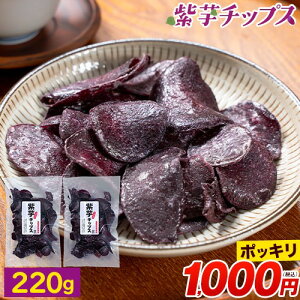 �y1000�~�|�b�L���z �����`�b�v�X �v220g(110g×2��) �������� 1000�ۂ����� �֗��� ������ �`�b�v�X �X�C�[�c �a�َq � �� ���܂��� ���َq ���Y ����� �s1-5�c�Ɠ��ȓ��ɔ����\��i�y���j