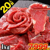 【メガ盛り馬刺し】　赤身 馬刺し (ブロック) たっぷり1kg (タレ5ml×20袋) 【カナダ産熊本加工】 ギフト…