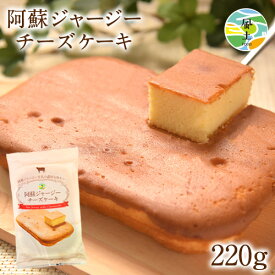 阿蘇 ジャージー チーズケーキ ケーキ 1000円ポッキリ 送料無料 希少 な ジャージー牛乳使用 スイーツ ポイント消化 買い回り 誕生日《7-14営業日以内に出荷予定(土日祝除く)》