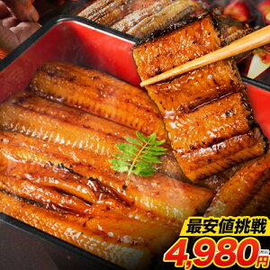 Y Ȃ Ă 2 v360gȏ TCY  BY V ERt Mtg Ⓚ yp̉N̓ unagi N̓ ̓ Mtg 蕨 sI̔[ȓɔt|