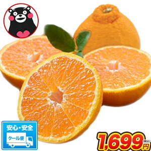 【数量限定 緊急入荷】デコみかん 1.5kg 訳あり クール便 送料無料 デコ みかん デコポン 同品種 熊本県産 旬 の みかん 柑橘 産地直送 取り寄せ 箱 お取り寄せ お取り寄せグルメ 《5月中旬-6月上旬頃より順次出荷》