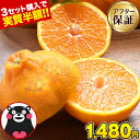 【3セットで実質半額】 デコポン と同品種 訳あり デコみかん 送料無料 1.5kg 2セット購入で1セット分おまけ増量 不知…