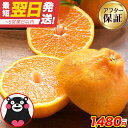 訳あり デコみかん 1. 5kg 送料無料 2セット以上購入でおまけ増量★デコポン と同品種 熊本県産 不知火 みかん ミカン 柑橘 果物 10kg 未満 くまもと風土 買い回り 《1-5営業日以内に発送予定》