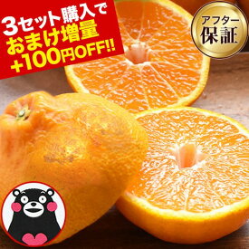 【3セット購入で100円OFF+おまけ増量】訳あり デコみかん 1.5kg 送料無料 デコポン と同品種 2セット購入で1セット分おまけ増量 不知火 みかん ミカン 熊本 柑橘 くまもと風土 買い回り 《2月下旬-3月中頃より発送予定》