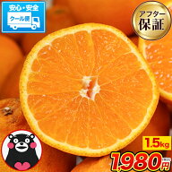 訳あり デコみかん 1. 5kg クール便 送料無料 2セット以上購入でおまけ増量★デコポン と同品種 熊本県産…