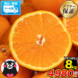 デコみかん 送料無料 たっぷり 8kg みかん 訳あり クール便 不知火 ミカン 熊本県産 デコポン と同品種 熊本 柑橘 美味しい みかん 産地直送 箱 でこ mikann くまもと風土 買い回り 《1-5営業日以内に頃より発送予定》