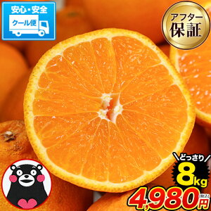 �f�R�݂��� �������� �����Ղ� 8kg �݂��� �󂠂� �N�[���� �s�m�� �~�J�� �F�{���Y �f�R�|�� �Ɠ��i�� �F�{ ���k �������� �݂��� �Y�n���� �� �ł� mikann ���܂��ƕ��y ������� �s1-5�c�Ɠ���
