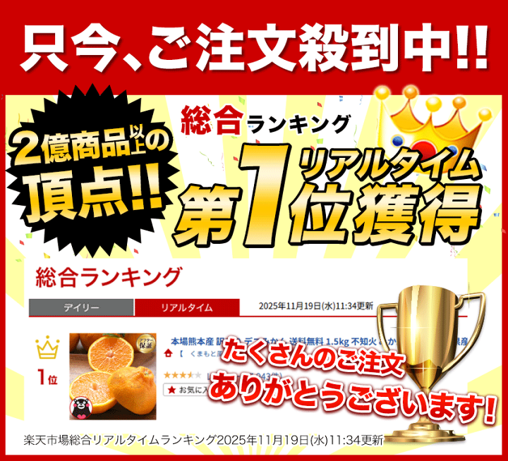 楽天市場】【12/5 19時～☆ライブ視聴＆エントリーでP5倍】【早割