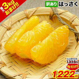 【期間限定SALE★今だけ1222円】 はっさく柑 (八朔・紅八朔) 1.5kg 送料無料 訳あり 熊本県産 みかん ミカン mikann ★3セット購入なら2セット分増量!! 複数セットの場合1箱にまとめて配送 《1-5営業日以内に発送予定(土日祝日除く)》