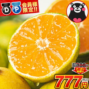 y11/4`DEPl111~OFFN[|zF{݂ y2ZbgȏőA 3Zbgȏł܂ʁz󂠂 ݂1.5kg KiO   sI ƒp k F{Y ܂ƕys1